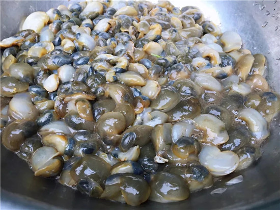 150余種沿海地區(qū)河海鮮，做廚師的一定要認(rèn)識(shí)（下）