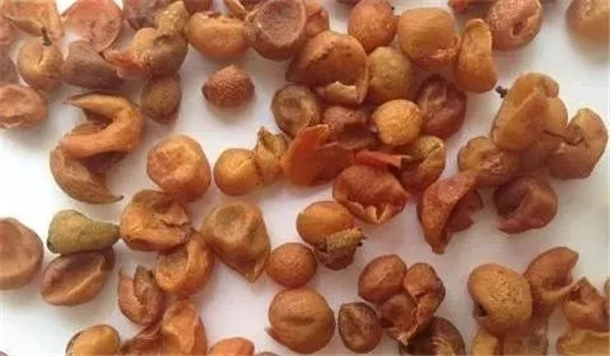中餐50種香辛料特點(diǎn)與作用，作為廚師一定要知道