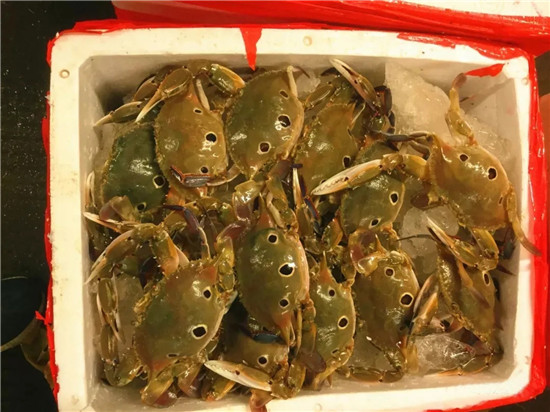 150余種沿海地區(qū)河海鮮，做廚師的一定要認(rèn)識(shí)（下）