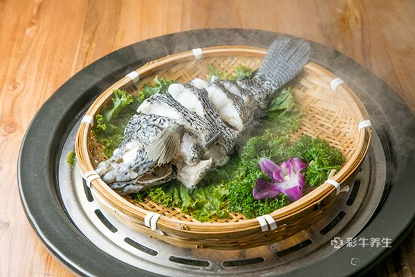 清蒸石斑魚是哪個地方的菜