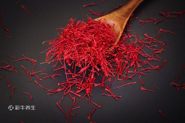 藏紅花3.jpg