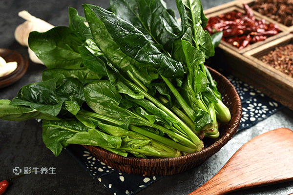 春天養生吃什么食物
