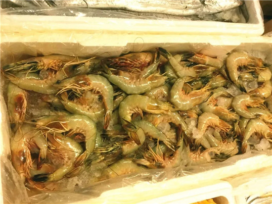 150余種沿海地區(qū)河海鮮，做廚師的一定要認(rèn)識(shí)（下）