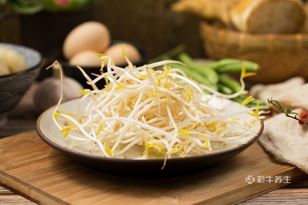 綠豆芽3.jpg