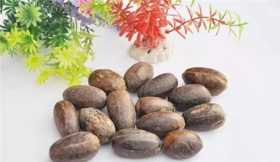 中餐50種香辛料特點(diǎn)與作用，作為廚師一定要知道