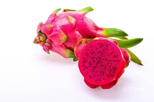 經期可以吃火龍果嗎