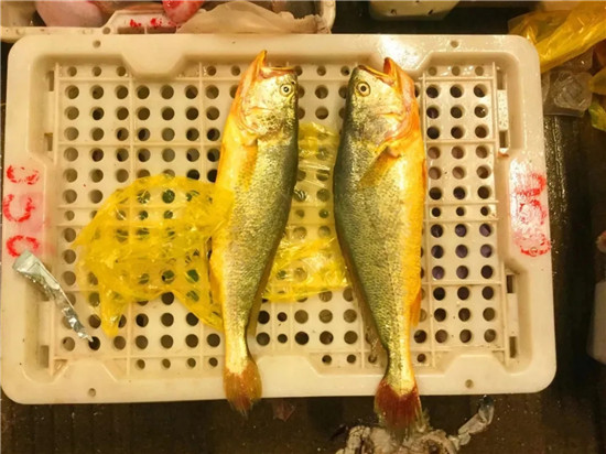 150余種沿海地區河海鮮，做廚師的一定要認識