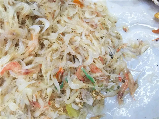 150余種沿海地區(qū)河海鮮，做廚師的一定要認(rèn)識(shí)（下）