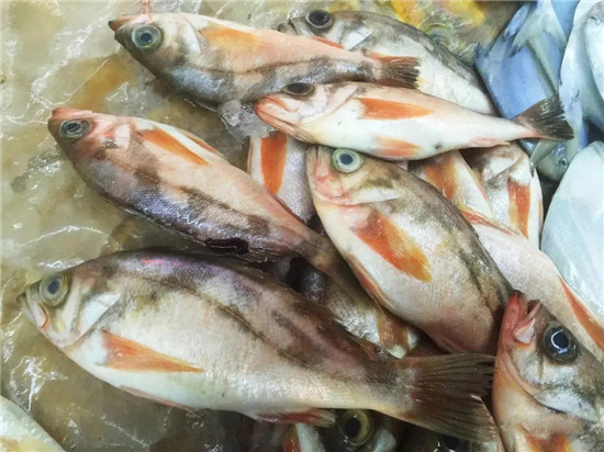 150余種沿海地區(qū)河海鮮，做廚師的一定要認(rèn)識(shí)（下）