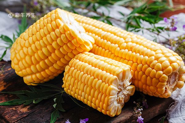 哪些食物熱量低適合減肥