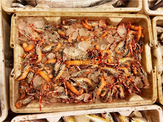 150余種沿海地區(qū)河海鮮，做廚師的一定要認(rèn)識(shí)（下）