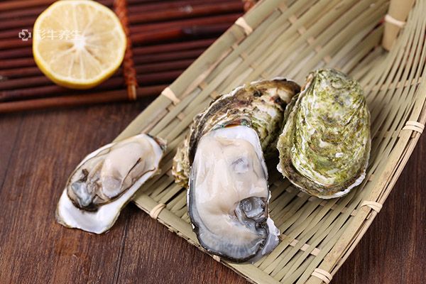 女人吃生蠔的好處