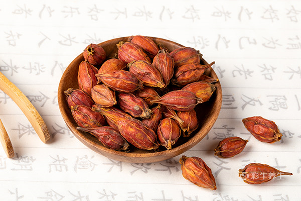 女人用梔子泡水喝好嗎 梔子泡水喝有什么好處