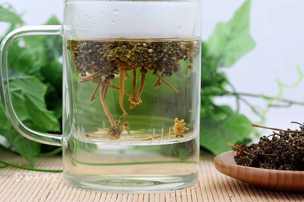 人參花泡水喝的禁忌 人參花泡水喝有哪些注意事項