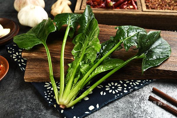 菠菜的營養(yǎng)價值2.jpg