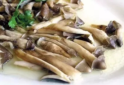 它被稱為“雞樅菌里的法拉利”，不是有錢就能吃到