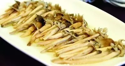 它被稱為“雞樅菌里的法拉利”，不是有錢就能吃到