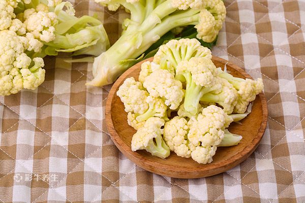 吃什么豐胸的效果好 豐胸的食物有哪些