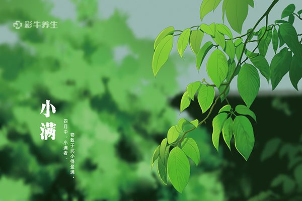小滿是什么時候 小滿養(yǎng)生應(yīng)該注意些什么