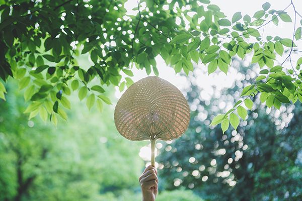 夏至是幾月幾日 夏至如何養生