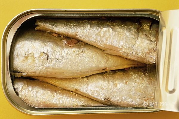 沙丁魚.jpg