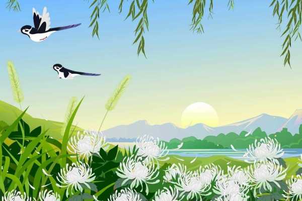 夏至入伏了嗎 入伏的具體時間