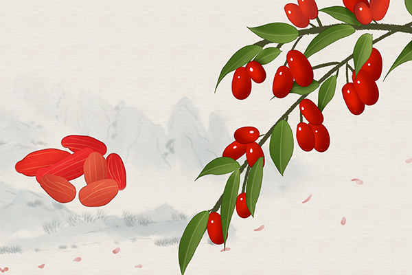黃芪枸杞泡水喝的功效有哪些  有什么副作用