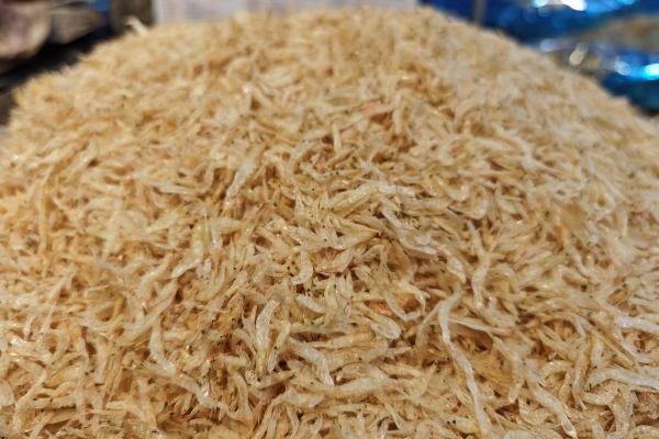 吃蝦皮能補鈣嗎
