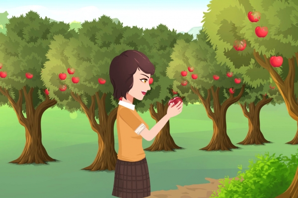 蘋(píng)果醋有什么作用