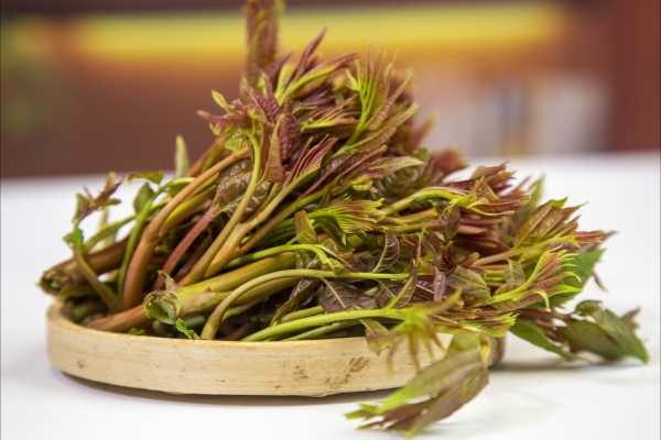 谷雨節(jié)氣的特點和風俗