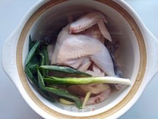 三七木耳燉雞湯的做法步驟：6