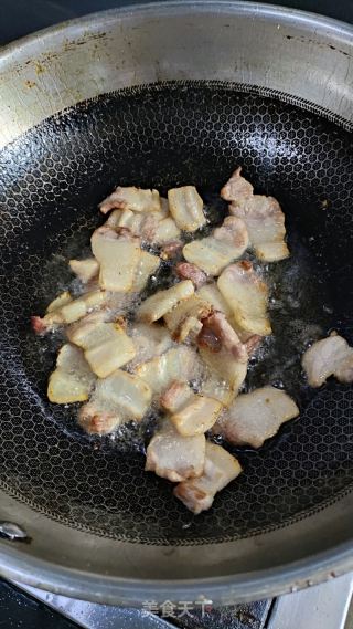 東北酸菜豬肉燉粉條的做法步驟：7