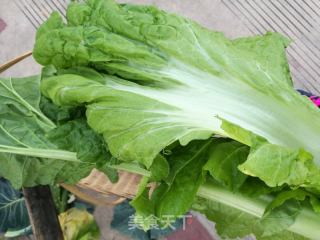 【云南】滇味蘸水苦菜湯（節日刮油利器）的做法步驟：1