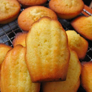 原味瑪德琳