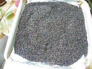 佐餐必備---黑芝麻鹽的做法步驟：2
