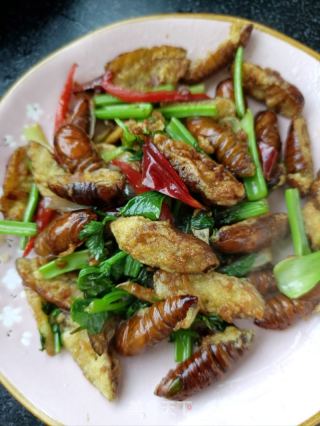 干煸蠶蛹的做法步驟：19