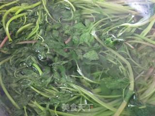 山芹菜冷凍保存的做法步驟：5
