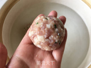 【揚州】清燉獅子頭的做法步驟：9