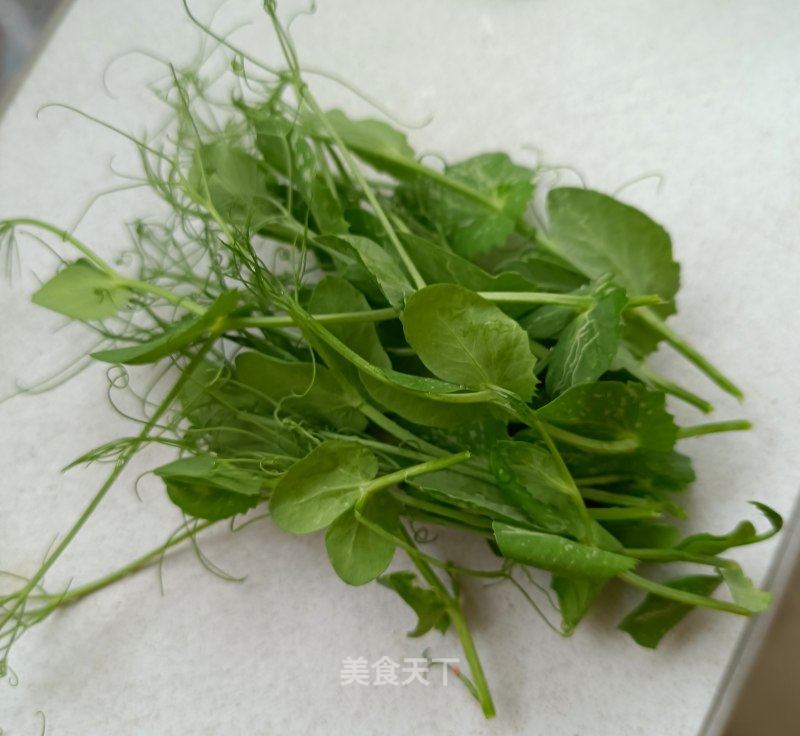 自種豌豆尖的做法