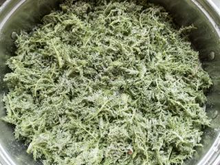 蒸迷迷蒿的做法步驟：9