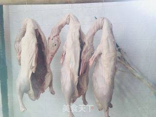 家庭版臘鴨的做法步驟：2