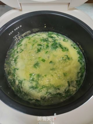 苦麥菜小米粥的做法步驟：9