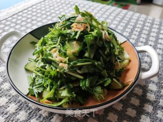 老虎菜的做法步驟：9