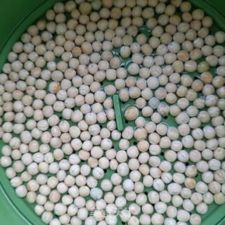 自種豌豆尖的做法步驟：2