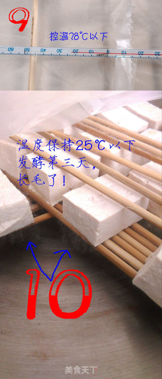 自然發(fā)酵的自制霉豆腐-豆腐乳-毛豆腐的做法步驟：5