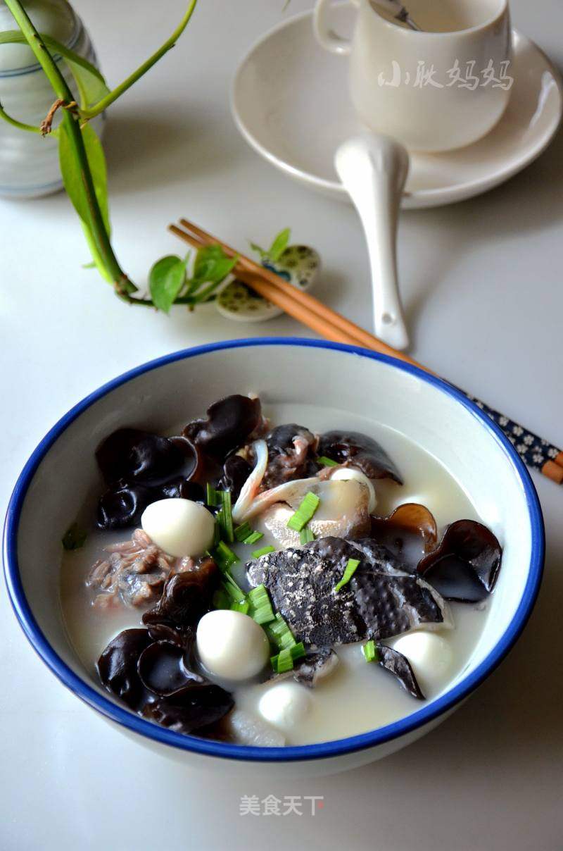甲魚湯的做法