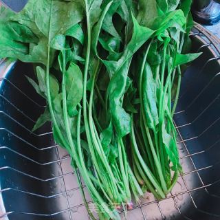 蒜蓉菠菜的做法步驟：1