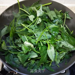 清炒紅薯葉的做法步驟：5