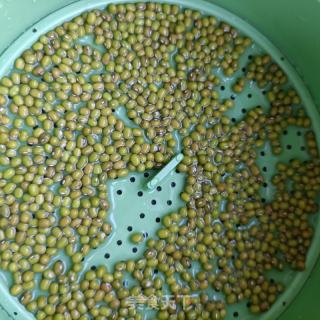 自發(fā)綠豆芽的做法步驟：3