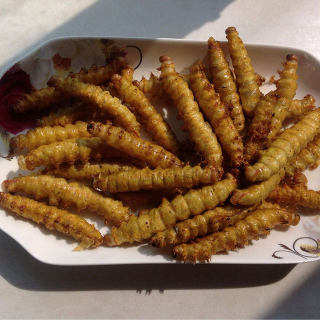 油炸大綠蟲子（柞zuò蠶）